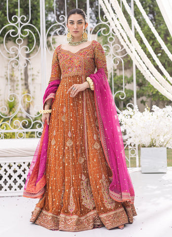 Burnt Orange Sheer Net Angharka Kalidaar with Intricate Silk Thread Work and Candy Pink Dupatta