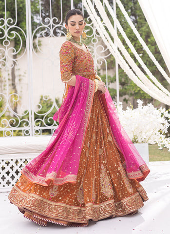 Burnt Orange Sheer Net Angharka Kalidaar with Intricate Silk Thread Work and Candy Pink Dupatta