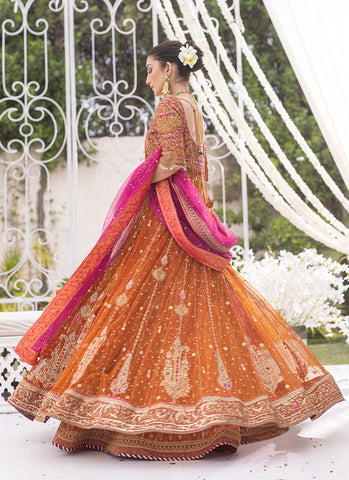 Burnt Orange Sheer Net Angharka Kalidaar with Intricate Silk Thread Work and Candy Pink Dupatta