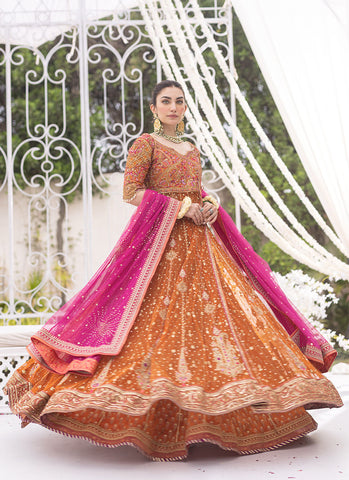 Burnt Orange Sheer Net Angharka Kalidaar with Intricate Silk Thread Work and Candy Pink Dupatta