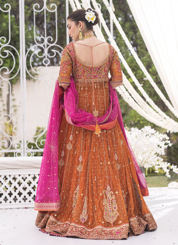 Burnt Orange Sheer Net Angharka Kalidaar with Intricate Silk Thread Work and Candy Pink Dupatta