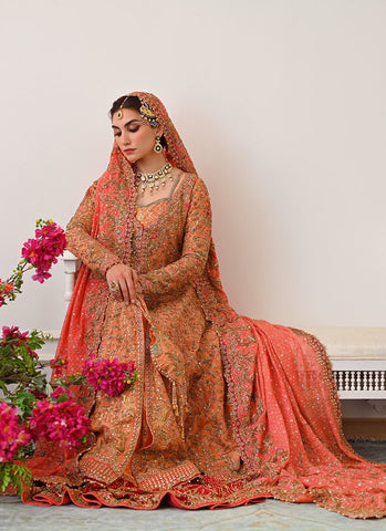 Celestial Elegance The Sitara Bridal Ensemble